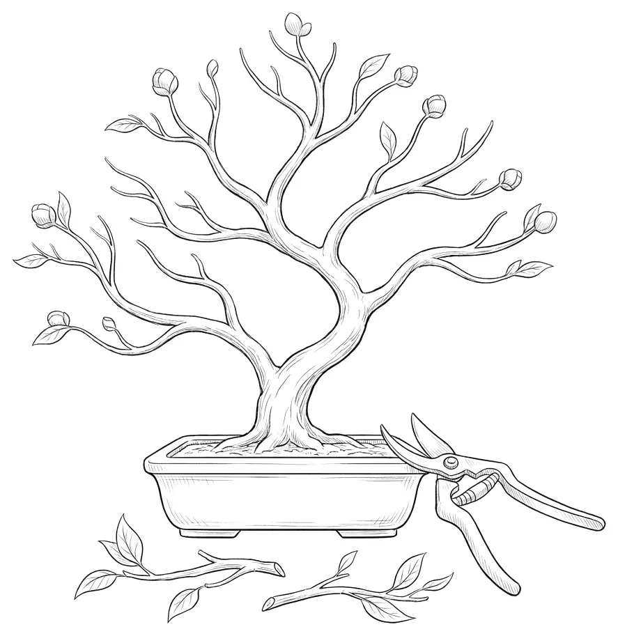 Pen drawing of a bonsai tree in a shallow pot, its branches tipped with small buds, with open pruning shears and a few freshly trimmed twigs beside it.